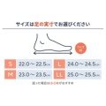 サイズ表