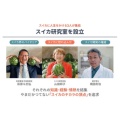 補足情報