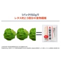 補足情報