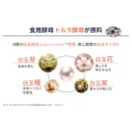 補足情報
