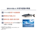 補足情報