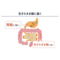補足情報