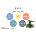 補足情報