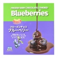 チョコブルーベリー