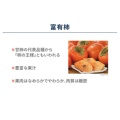補足情報