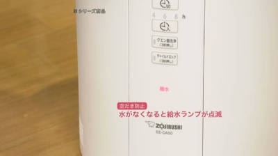 象印ポット型スチーム式加湿器4L洗浄用クエン酸付セット 象印