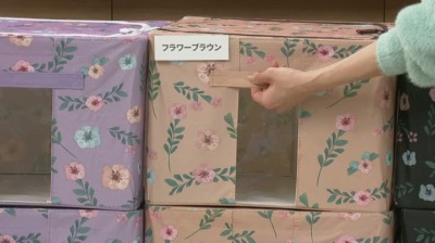 中身が見える窓付き収納BOXカラーが選べる6個 - QVC.jp