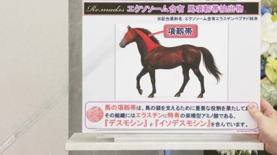 Re.mad's エイジングリッチ303 & エラスチンリッチ 4袋セット Re.mad's エイジングリッチ303 & エラスチンリッチ 4袋セット Re