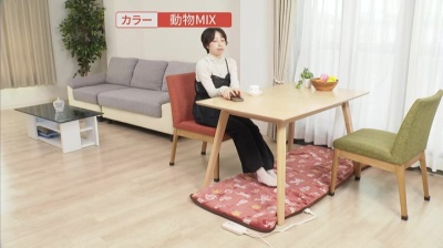 リサラーソンあったか・キュートなごろ寝マット リサラーソン（LISA