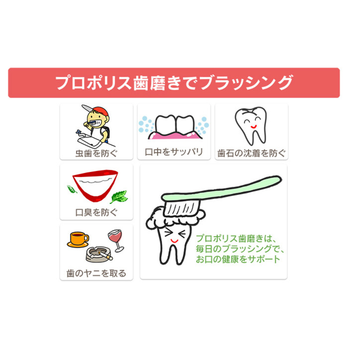 プロポリス歯みがき6本スペシャルバリューセット プロポリス Propolis No Qvc Jp