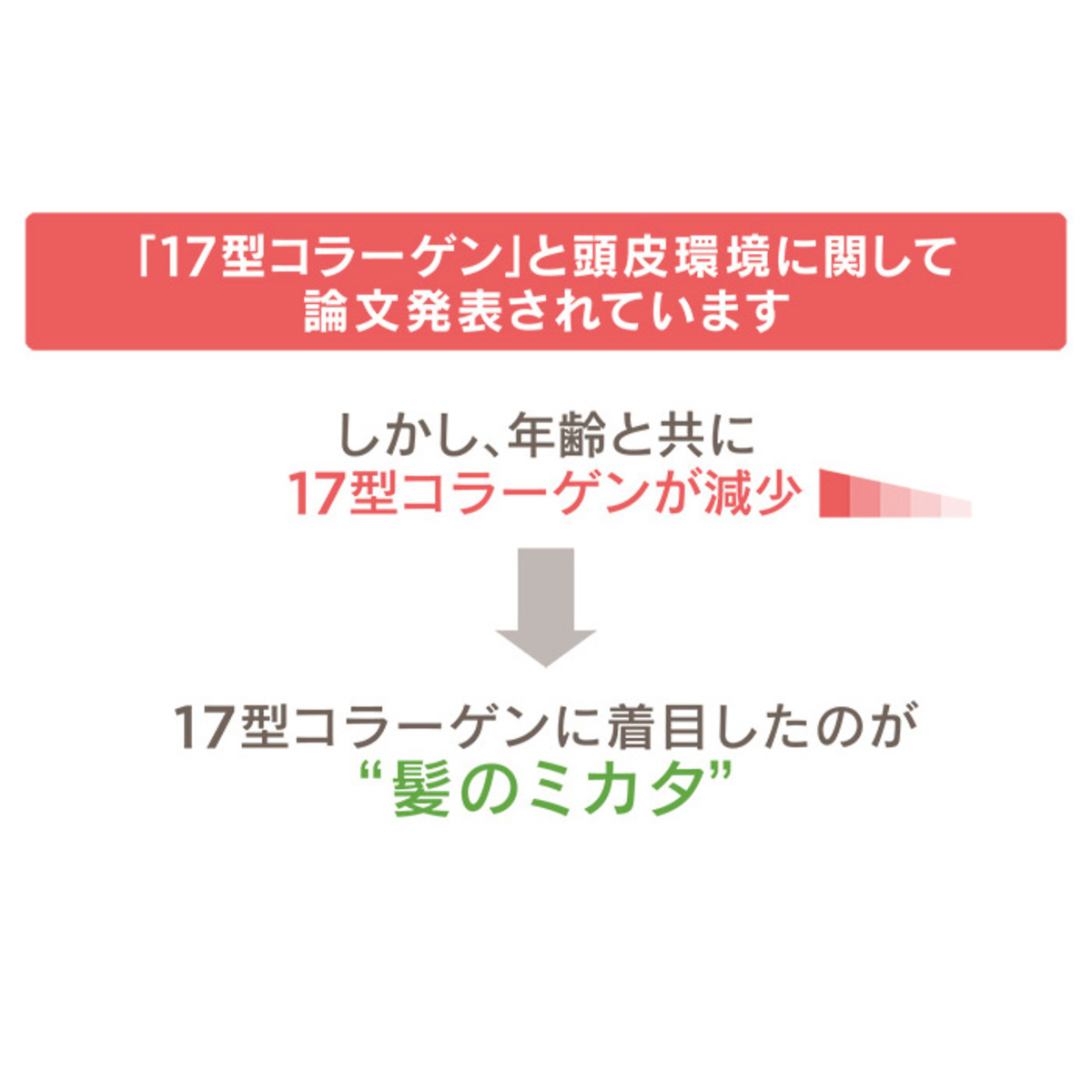 トワコスタイル 薬用 髪のミカタ 2本組 トワコスタイル Towako Style No 665250 Qvc Jp