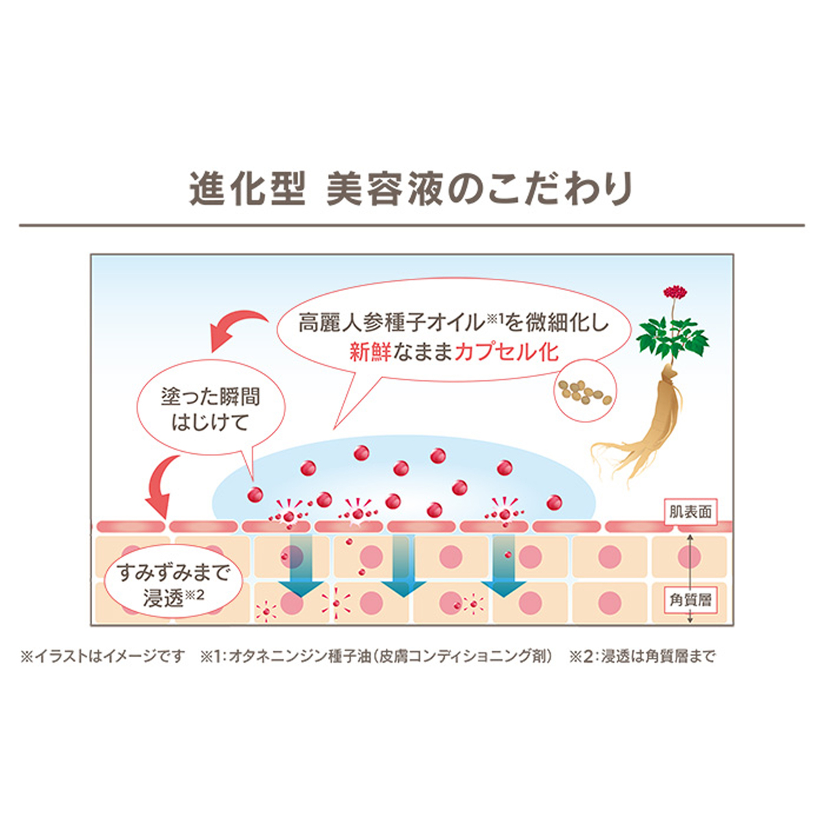 Jokionasibqkznc コンプリート いっ ぽん でも にんじん イラスト