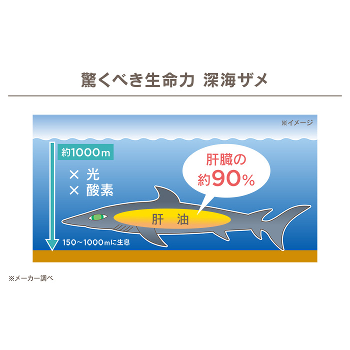 アラワオイル プレミアム 1日分 240粒 No Qvc Jp