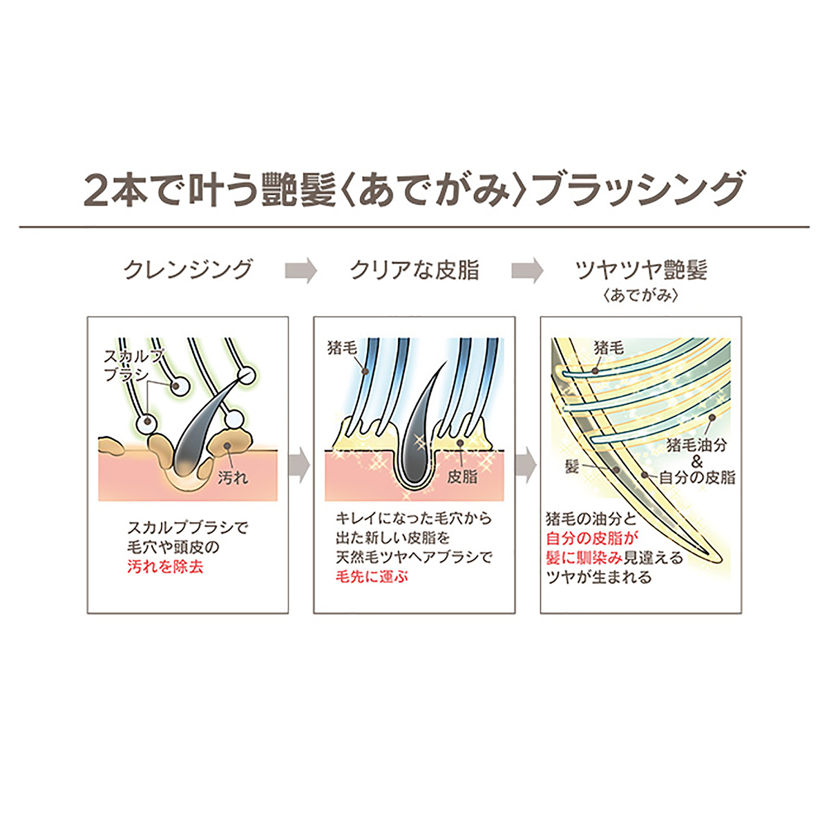 Hair Every 美髪スペシャルブラシ2本セット ヘアーエブリー Hair Every No 6773 Qvc Jp