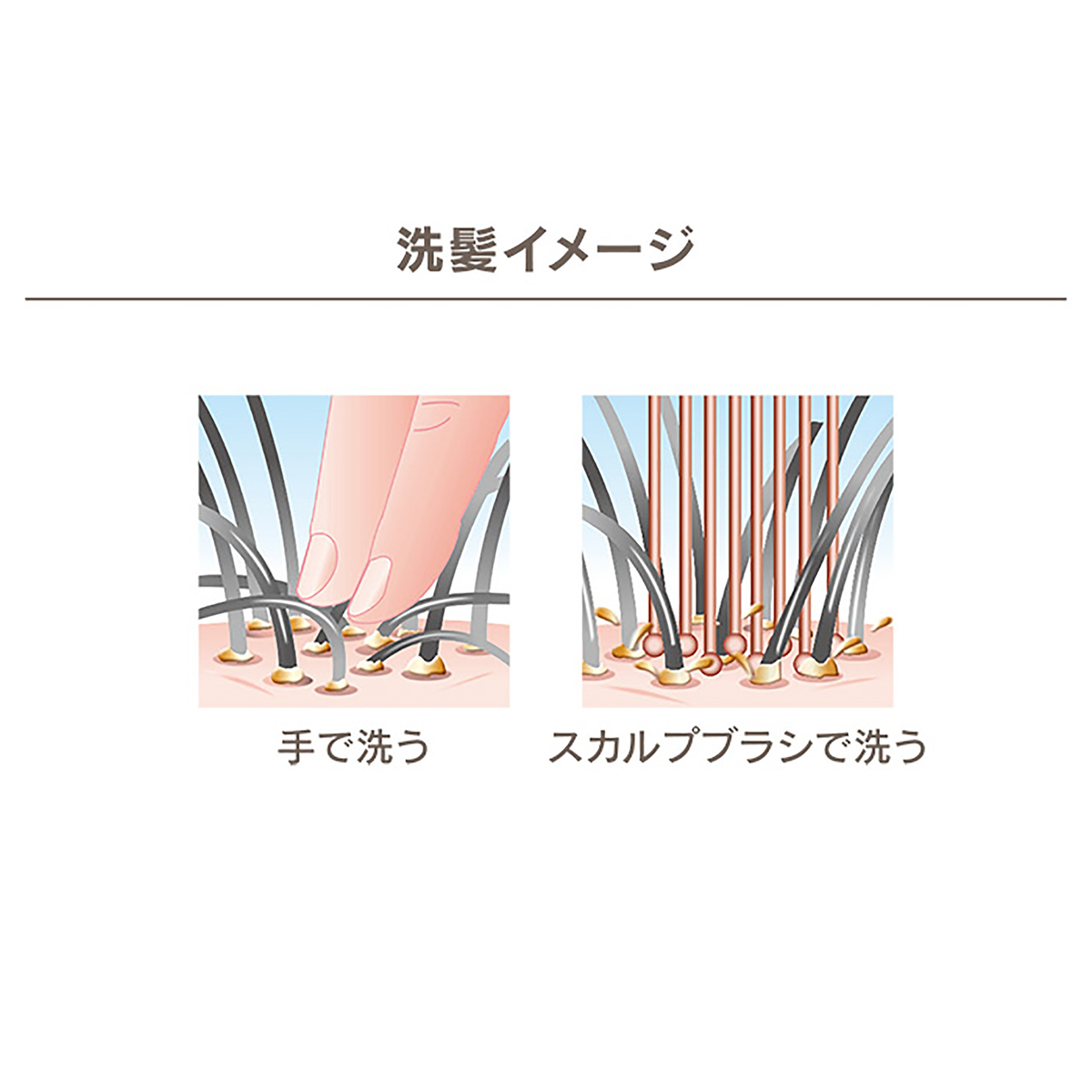 Hair Every 美髪スペシャルブラシ2本セット ヘアーエブリー Hair Every No 6773 Qvc Jp