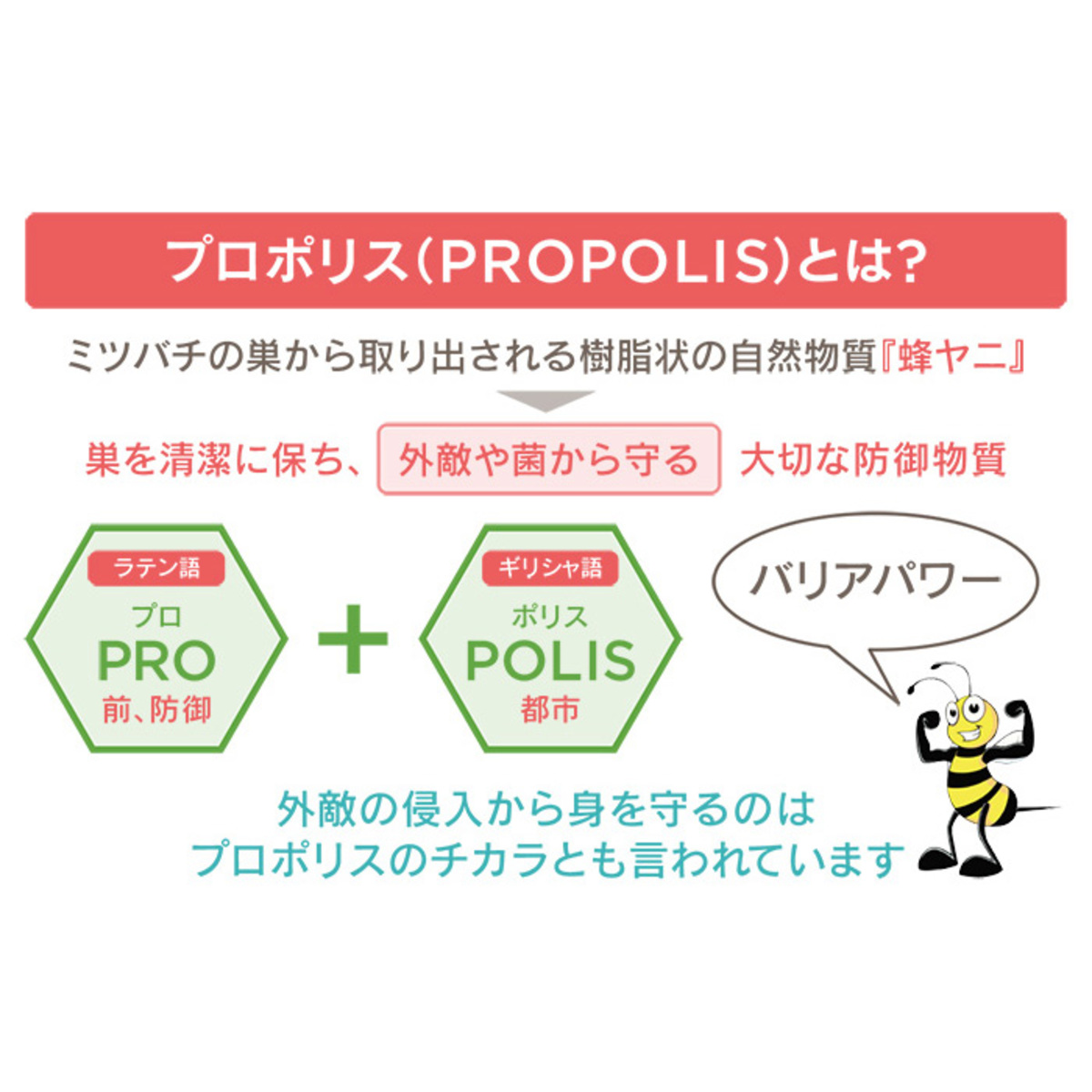 プロポリスクイーン660粒 30粒増量 歯みがき付き プロポリス Propolis No 697985 Qvc Jp