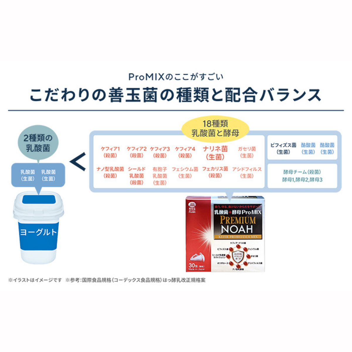 格安販売中 Mixプレミアムサークルノア 乳酸菌 酵母pro その他