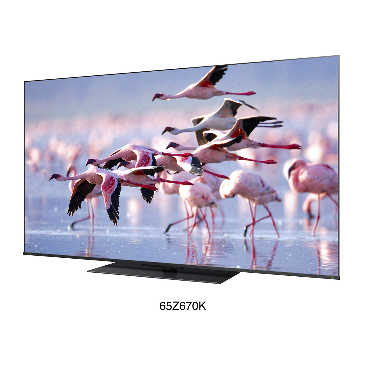 東芝 レグザ4K液晶テレビ 65型 65Z670K +4TBHD レグザ（REGZA） - QVC.jp