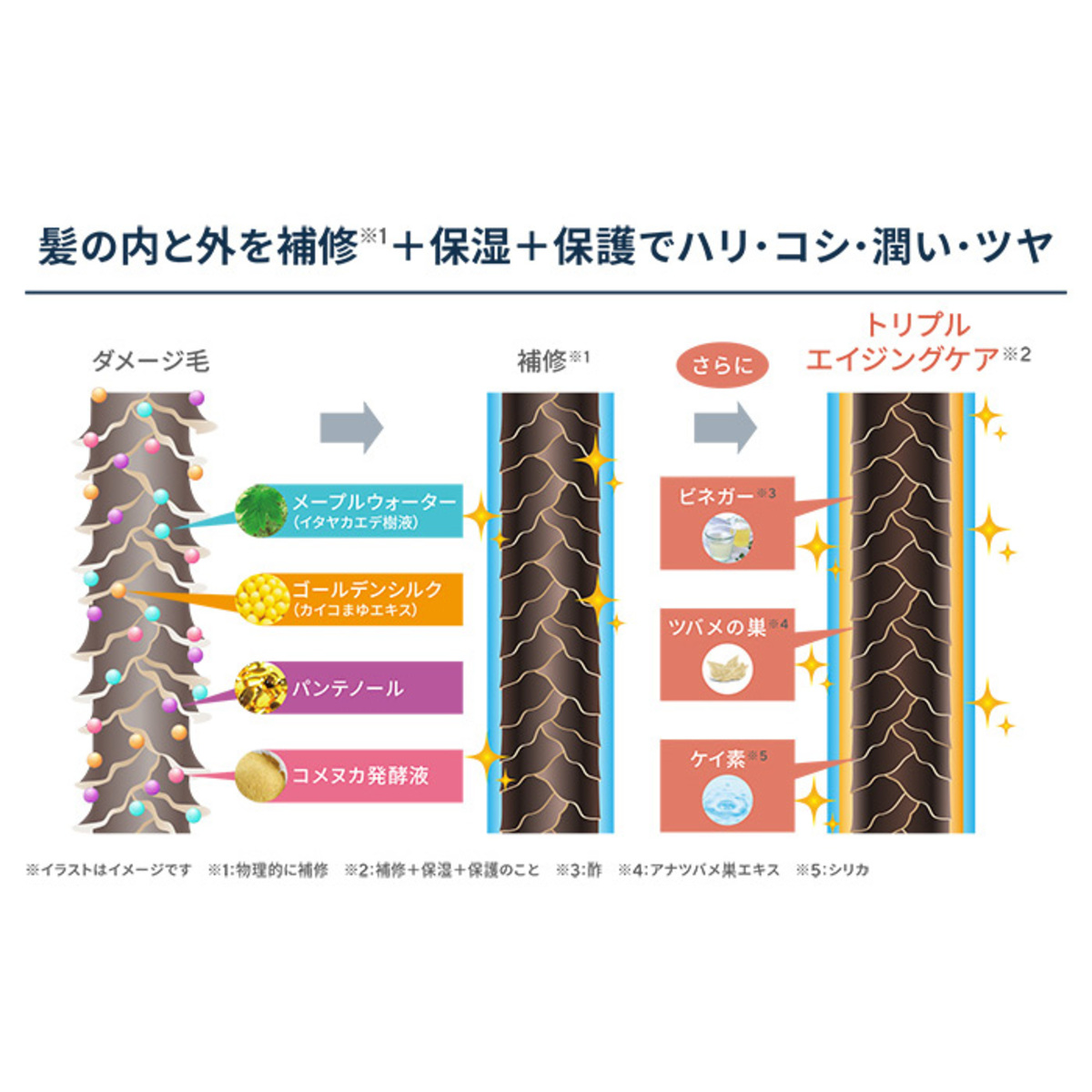 エスプリーナvi-BIO濃密炭酸シャンプー&トリートメントセット ヴィ