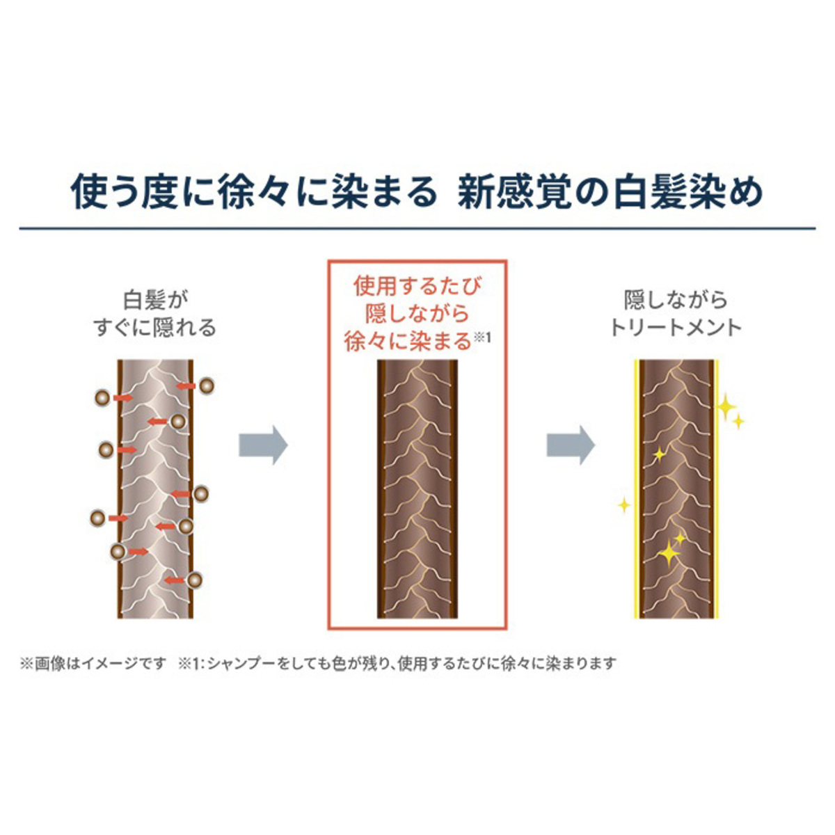 シラガネーゼ ポイントリッチカラーEX シラガネーゼ（SHIRAGANESE） - QVC.jp