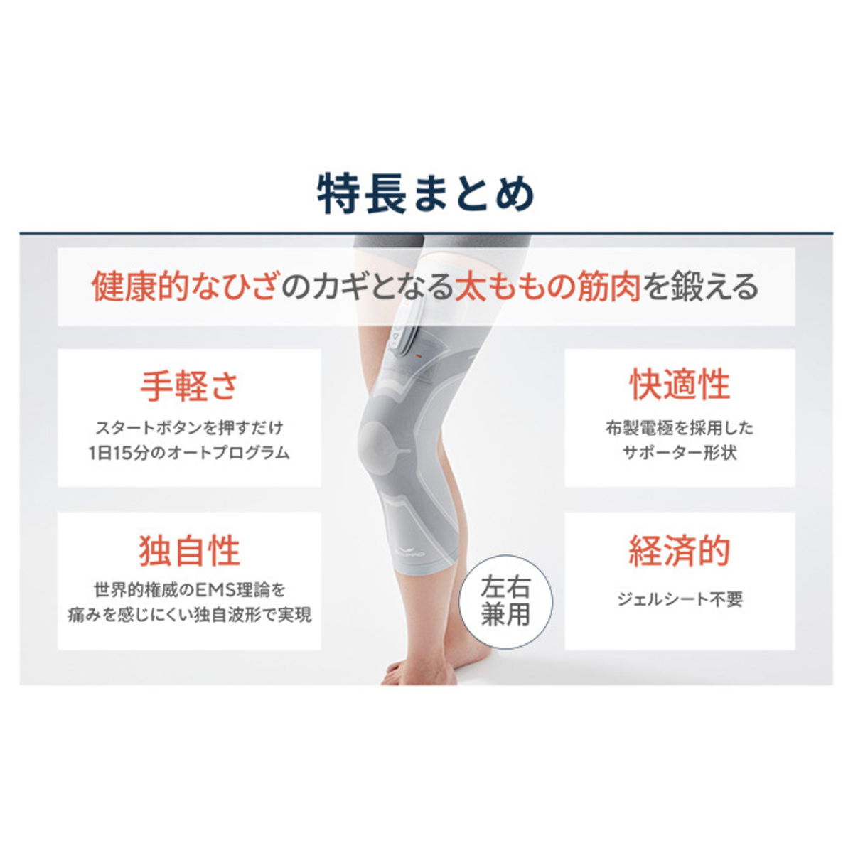 取寄商品 【新品】SIXPAD ニーフィット Mサイズ 正規品 