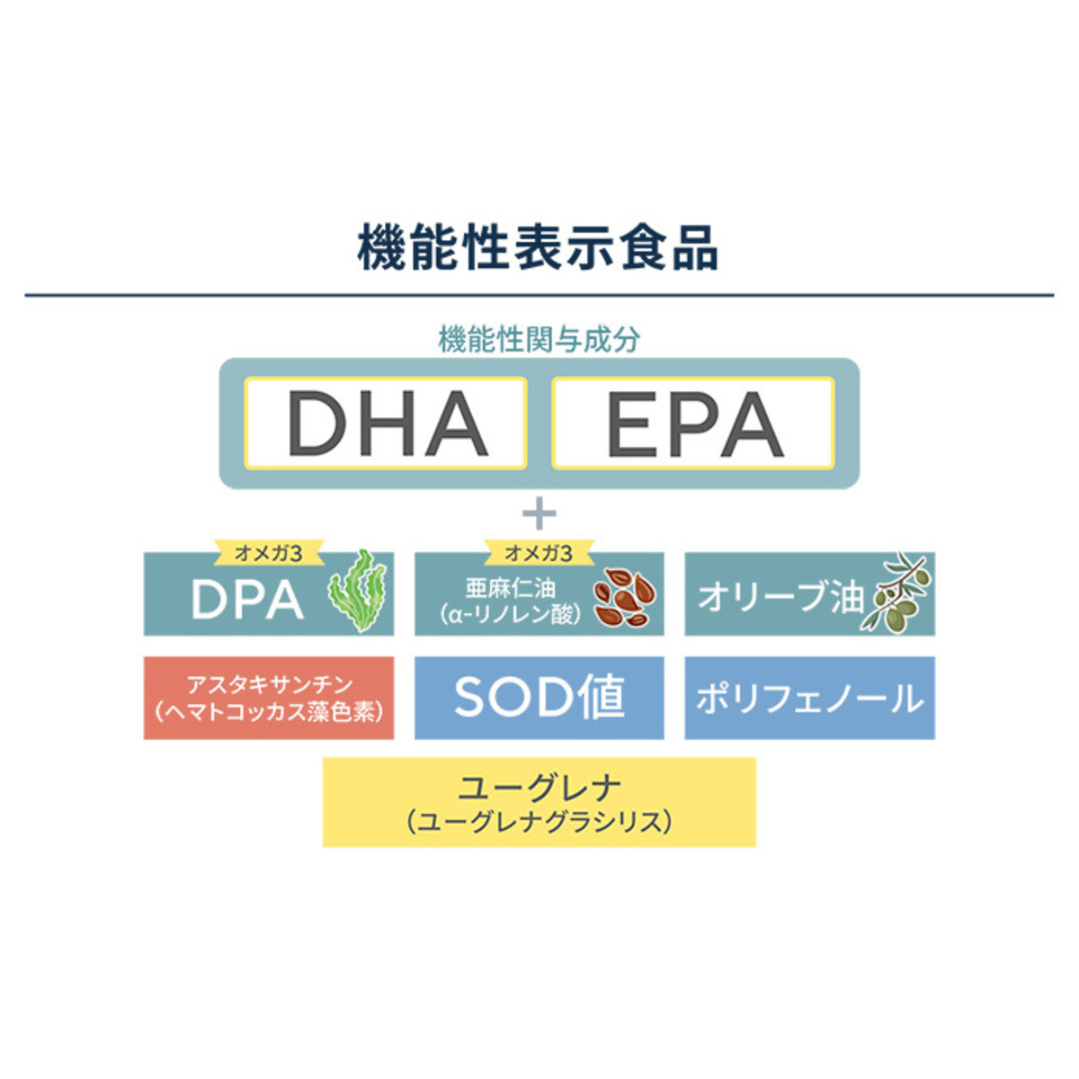 クロワール緑のDHA&EPA中性脂肪減少サポート5袋セット クロワール