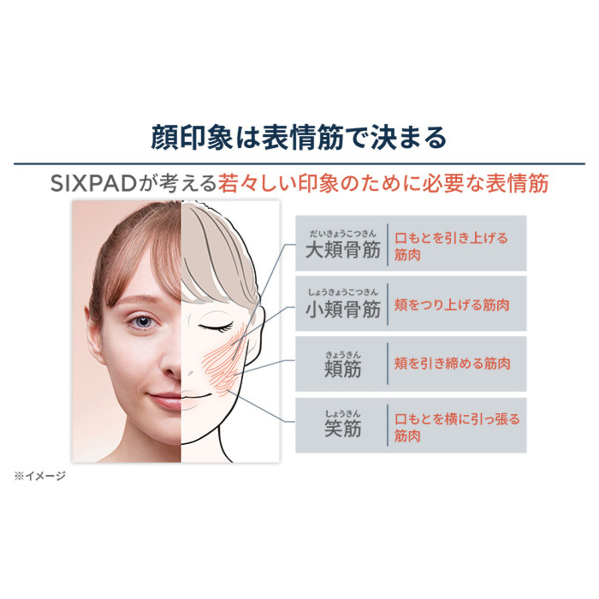 SIXPAD FacialFit[シックスパッド フェイシャルフィット] - QVC.jp