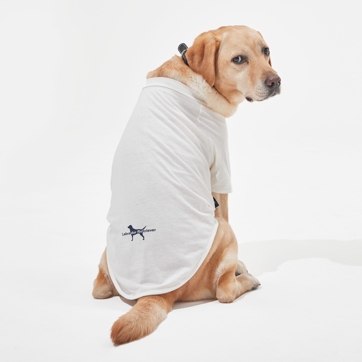 Labrador Retriever ドッグウェアロゴプリントT ラブラドールレトリバー（Labrador Retriever） QVC.jp