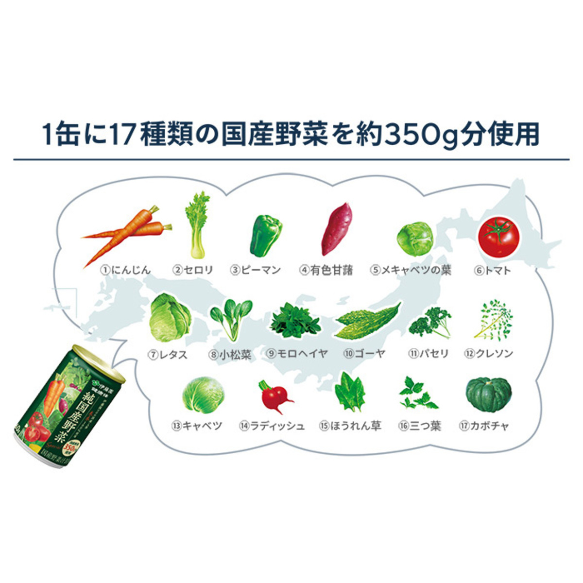 伊藤園健康体 1日分の純国産野菜160g×30本 伊藤園 - QVC.jp