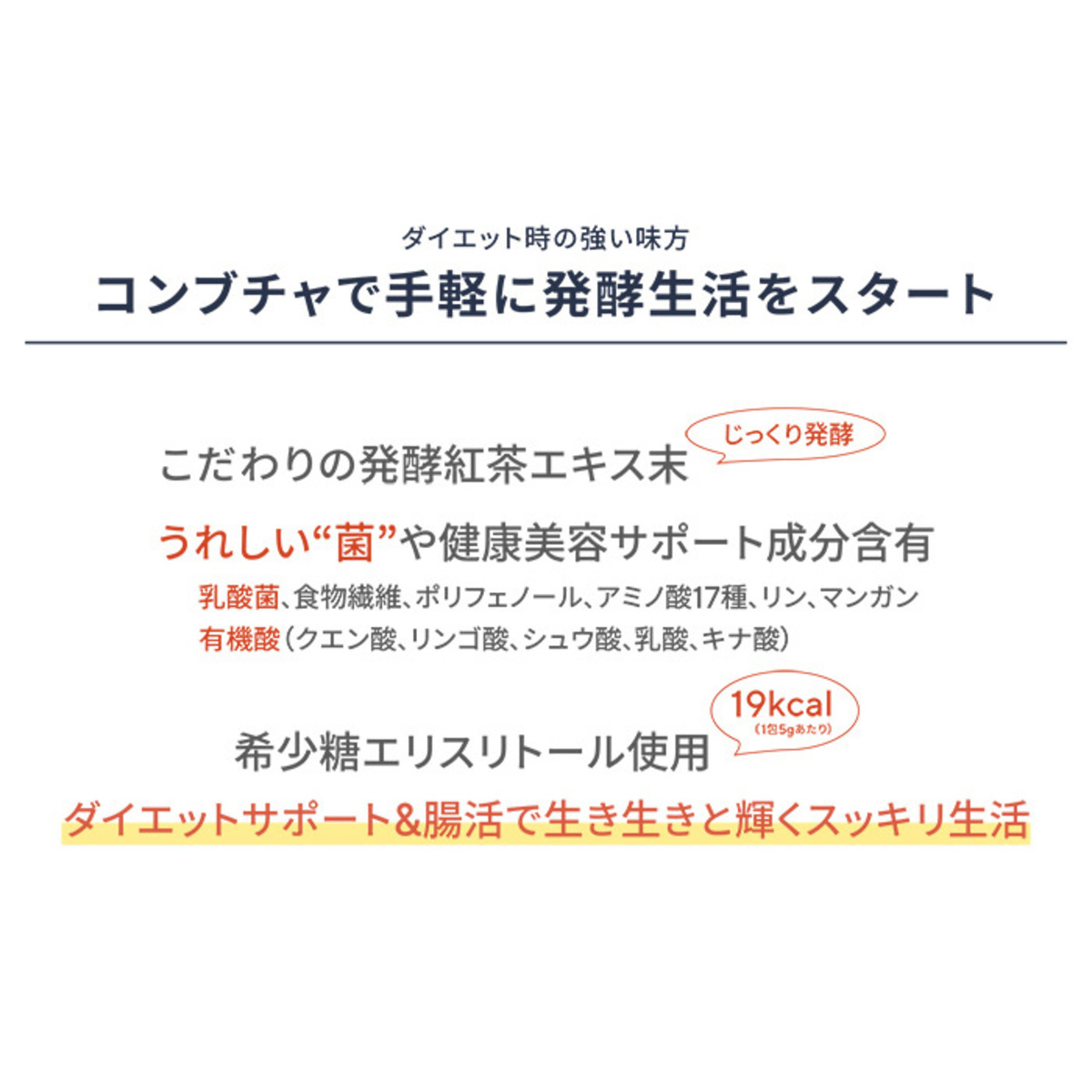 城咲仁 話題のSUPER KOMBUCHA 40包 - QVC.jp