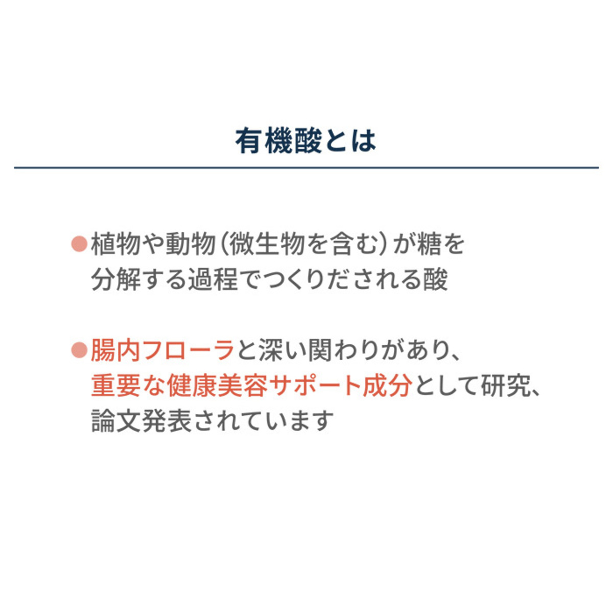 信頼】 城咲仁 スーパーコンブチャ SUPER KOMBUCHA 52包 agapeeurope.org