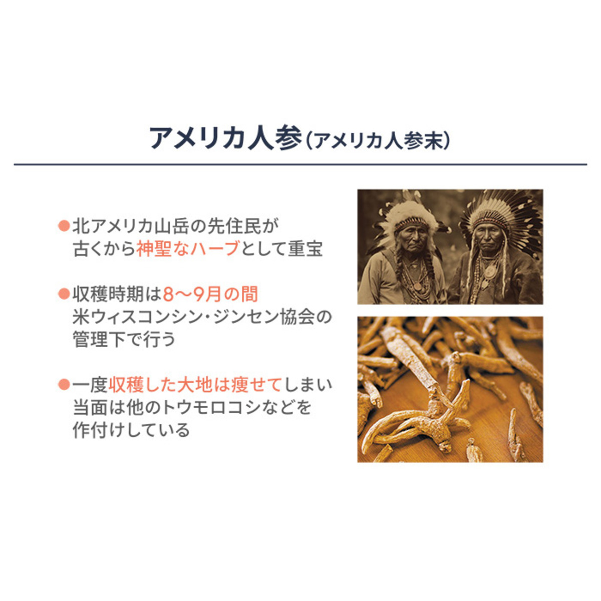 3種の人参ミックス[30日分]