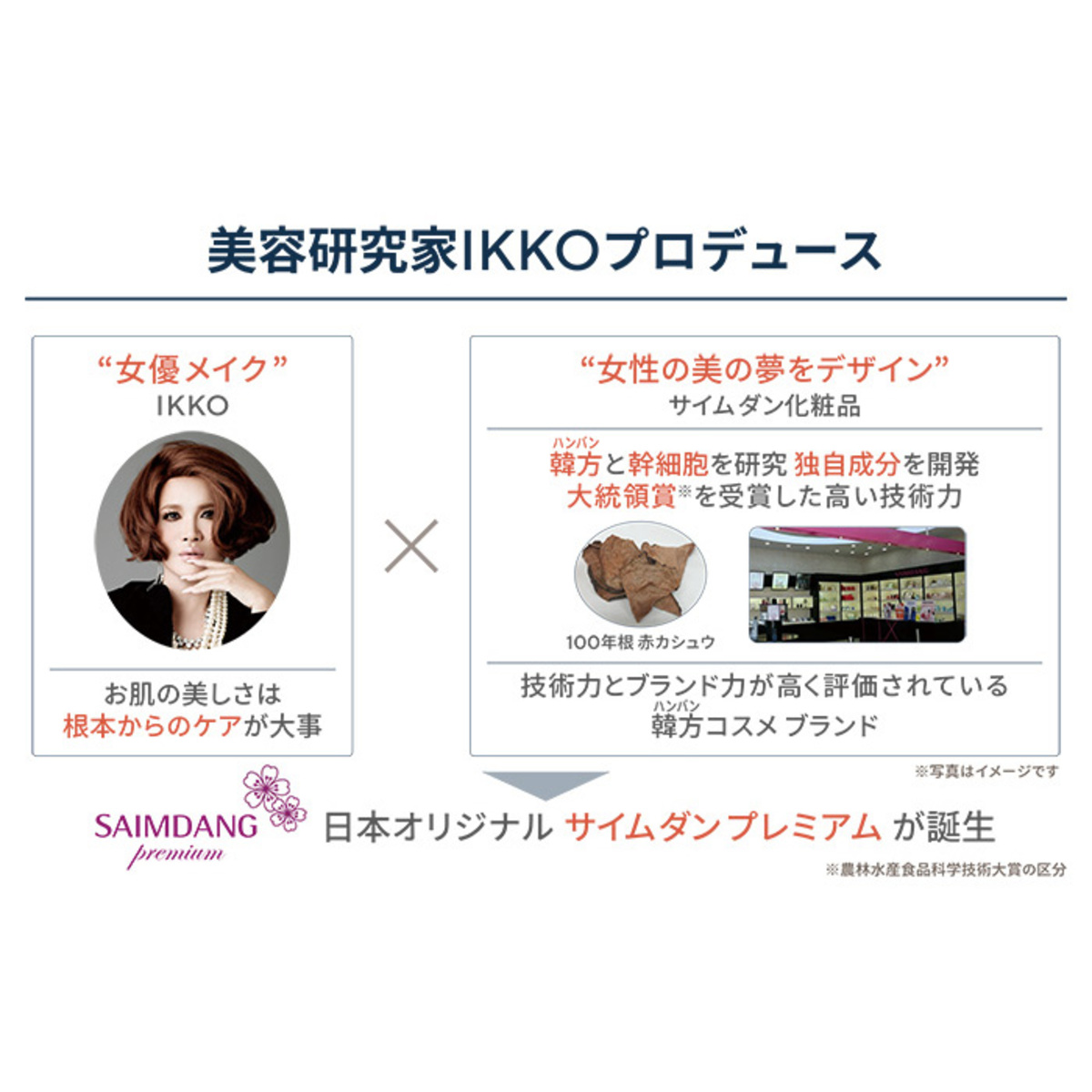 サイムダンプレミアム ファーストクラス 美容液化粧水2本セット サイムダンプレミアム（SAIMDANG premium） - QVC.jp