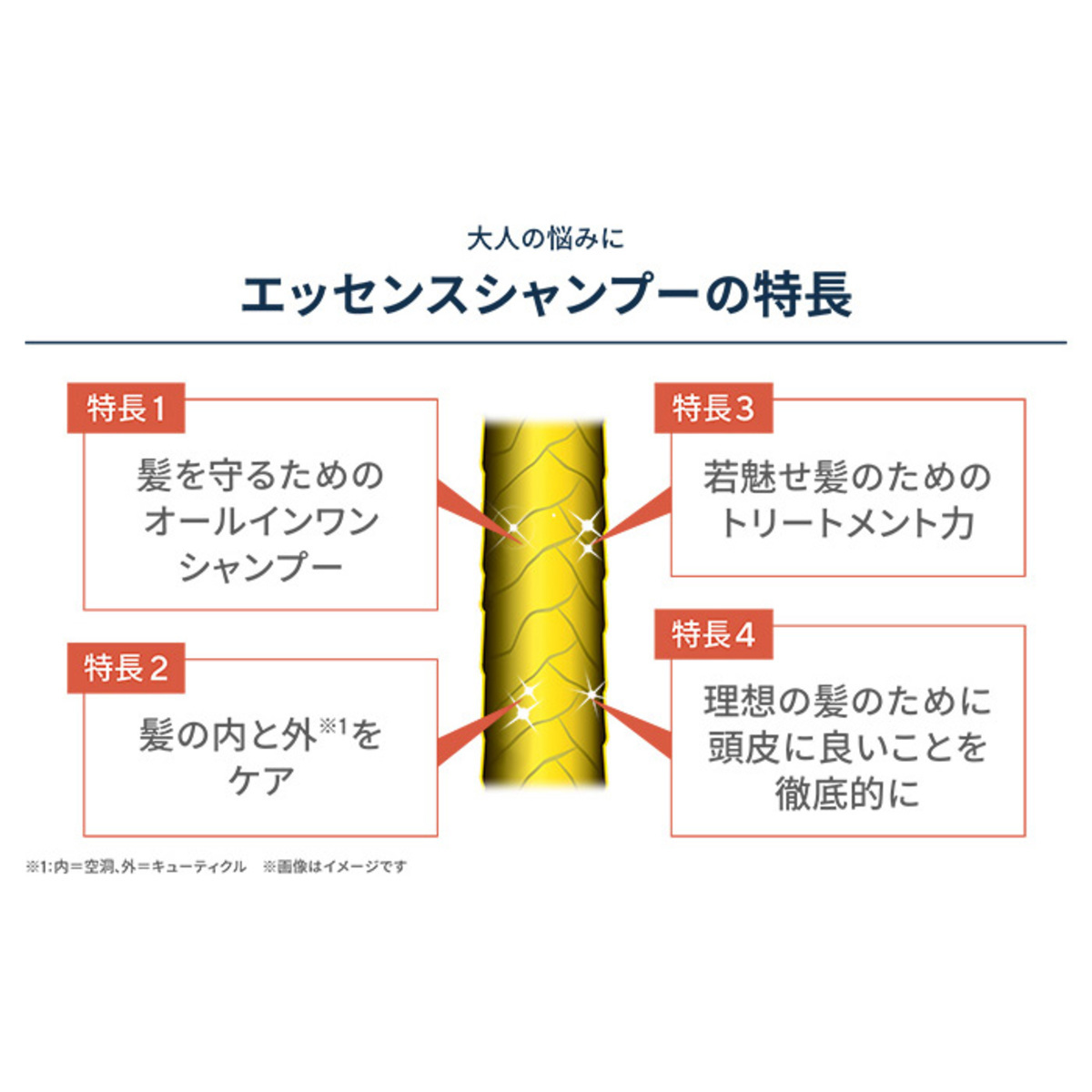 スキンビジョンプレミアムエッセンスシャンプー本体➕レフィル2個 スキンビジョン プレミアムエッセンスシャンプー本体+レフィル2