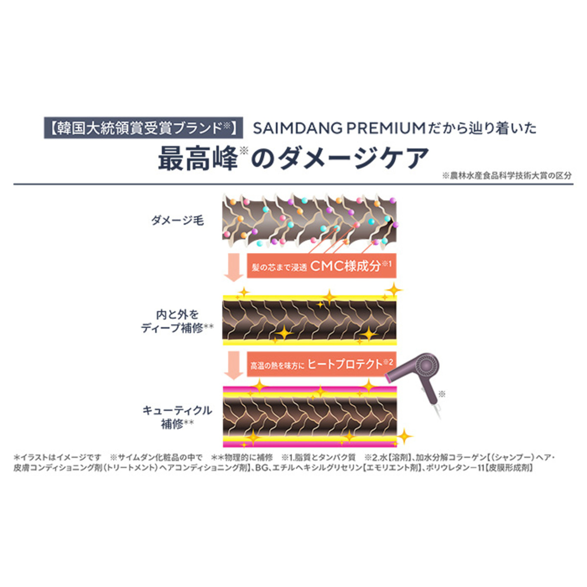 サイムダンファーストクラスCMCシャンプー&トリートメント+レフィル P付 サイムダンファーストクラスCMCシャンプー&トリートメント+