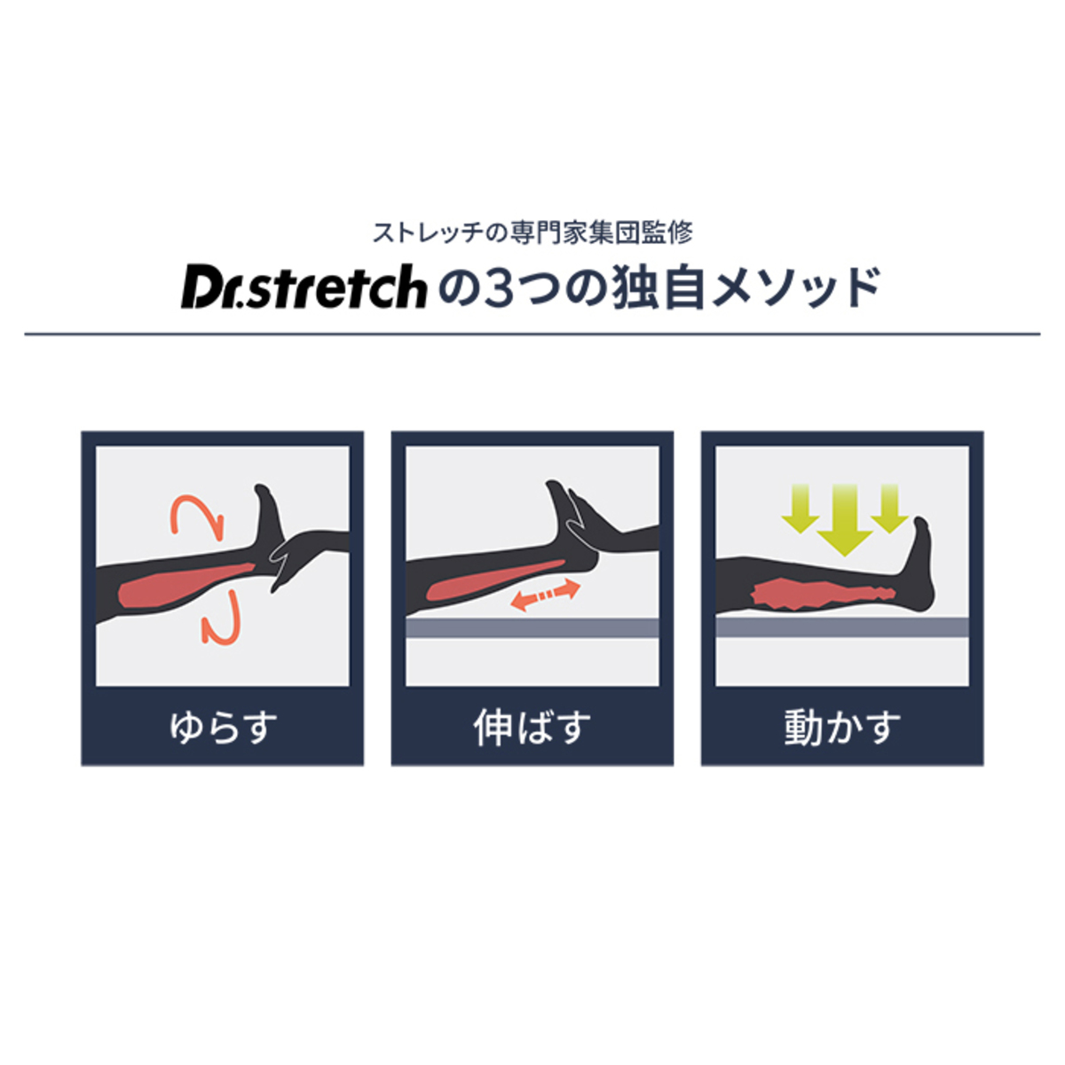 【Dr.Stretch】監修 コアストレッチバンド Dr.Stretch】監修 コアストレッチバンド 通販 - ディノス