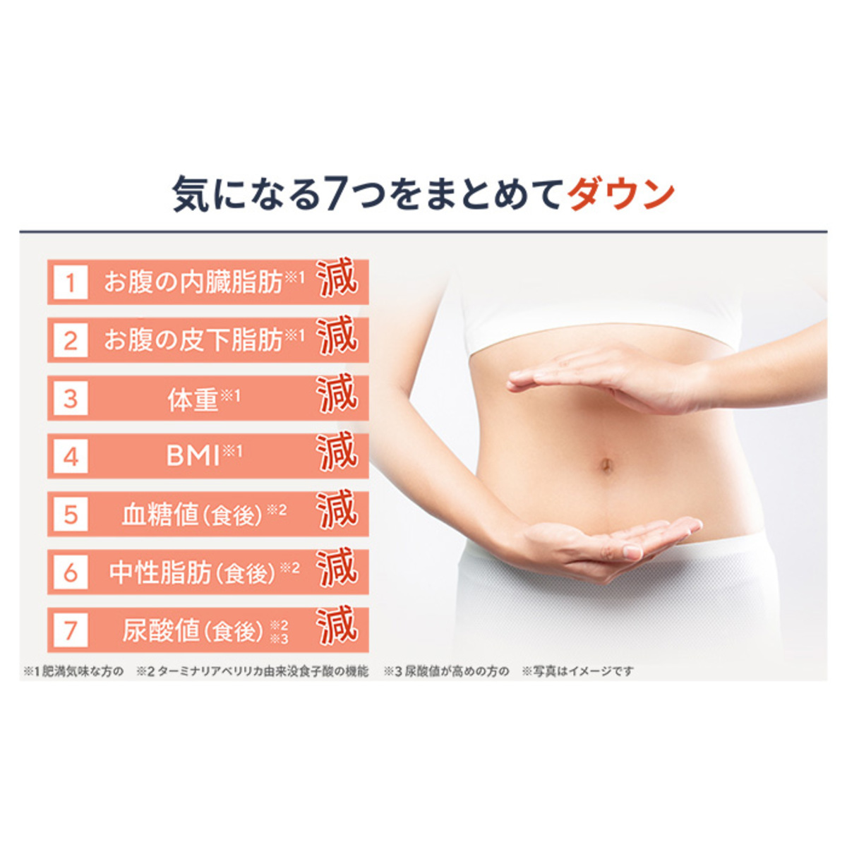 ターミナリアファーストプロフェッショナル4[360粒]+サプリケース