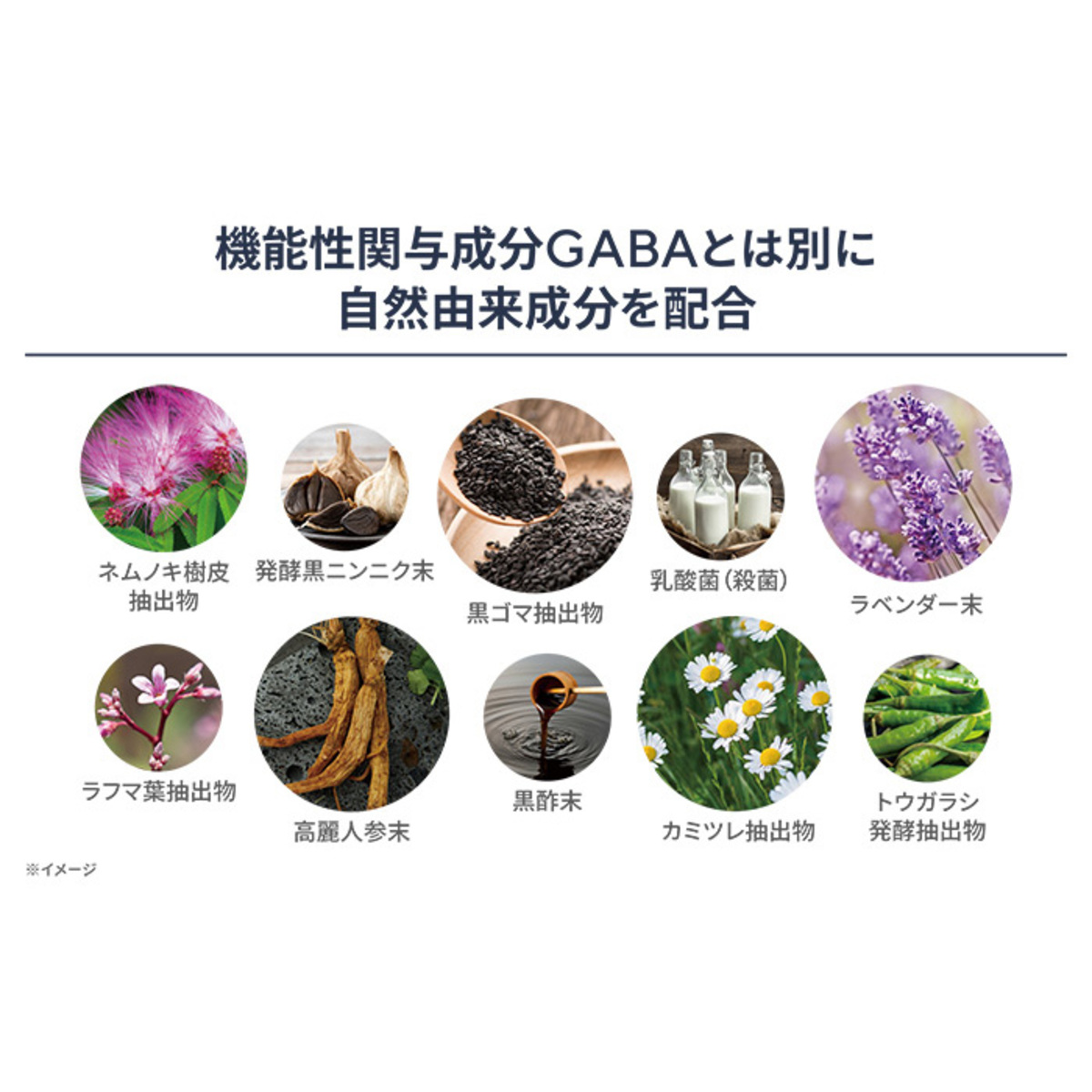 ビタブリッドデイリーギャバ[30粒]×6袋 ビタブリッド（Vitabrid） - QVC.jp