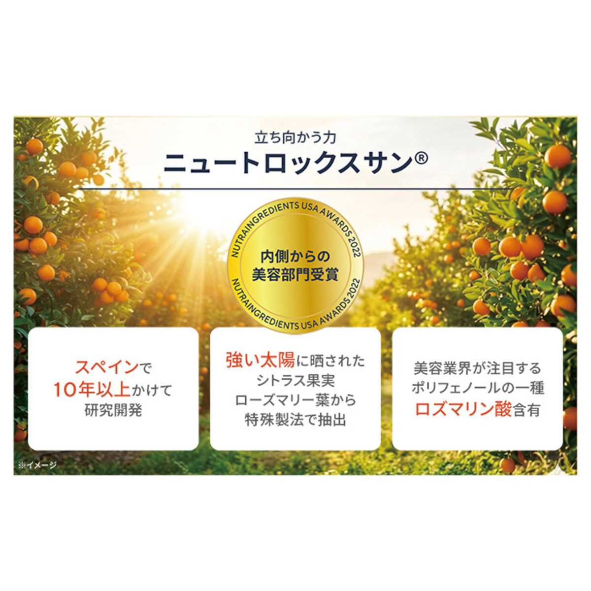 J.avec toi B-89 TI 100粒 特別BOX - QVC.jp
