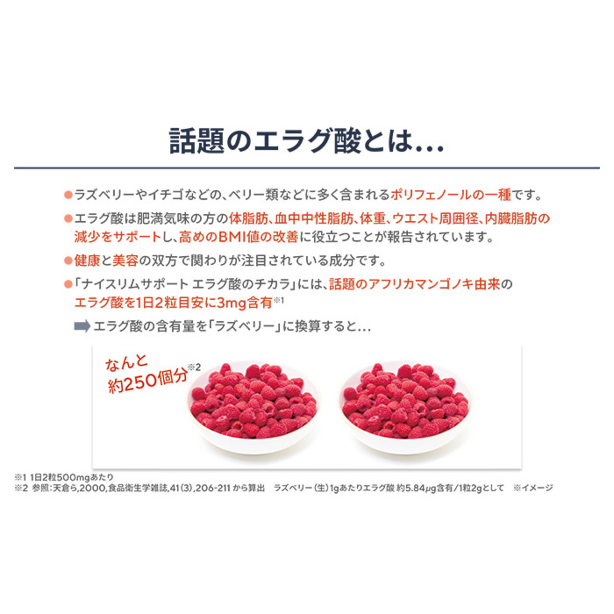 ナイスリムサポート エラグ酸のチカラ 約31日分 日清食品株式会社 - QVC.jp