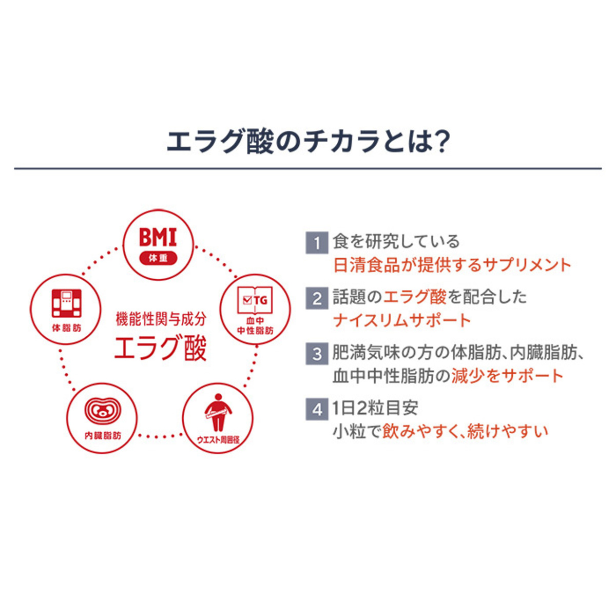 ナイスリムサポート エラグ酸のチカラ 約124日分 日清食品株式会社 