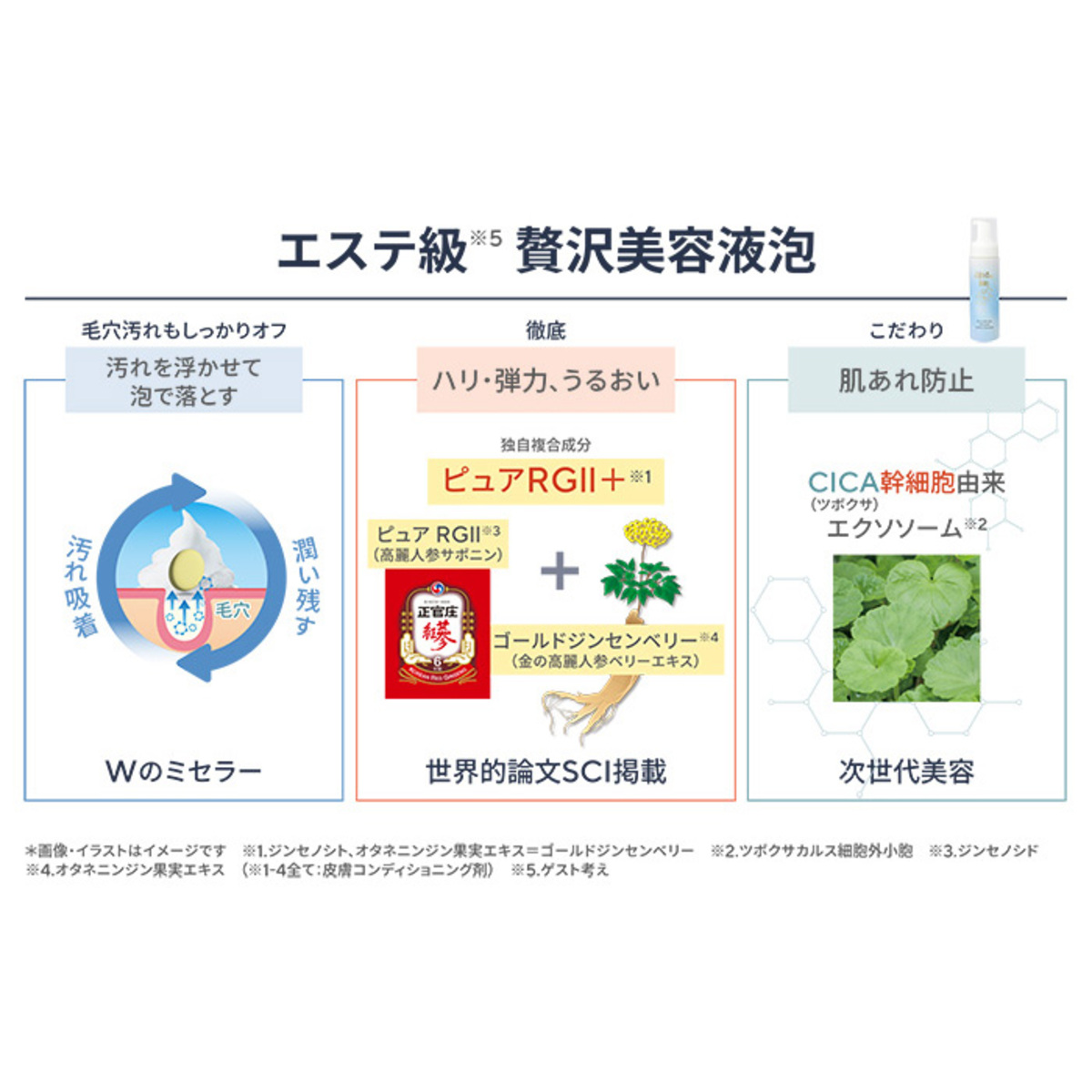 エスプリーナ RGII+濃密炭酸クレンジング4P+PQVC25th ヴィブリアン