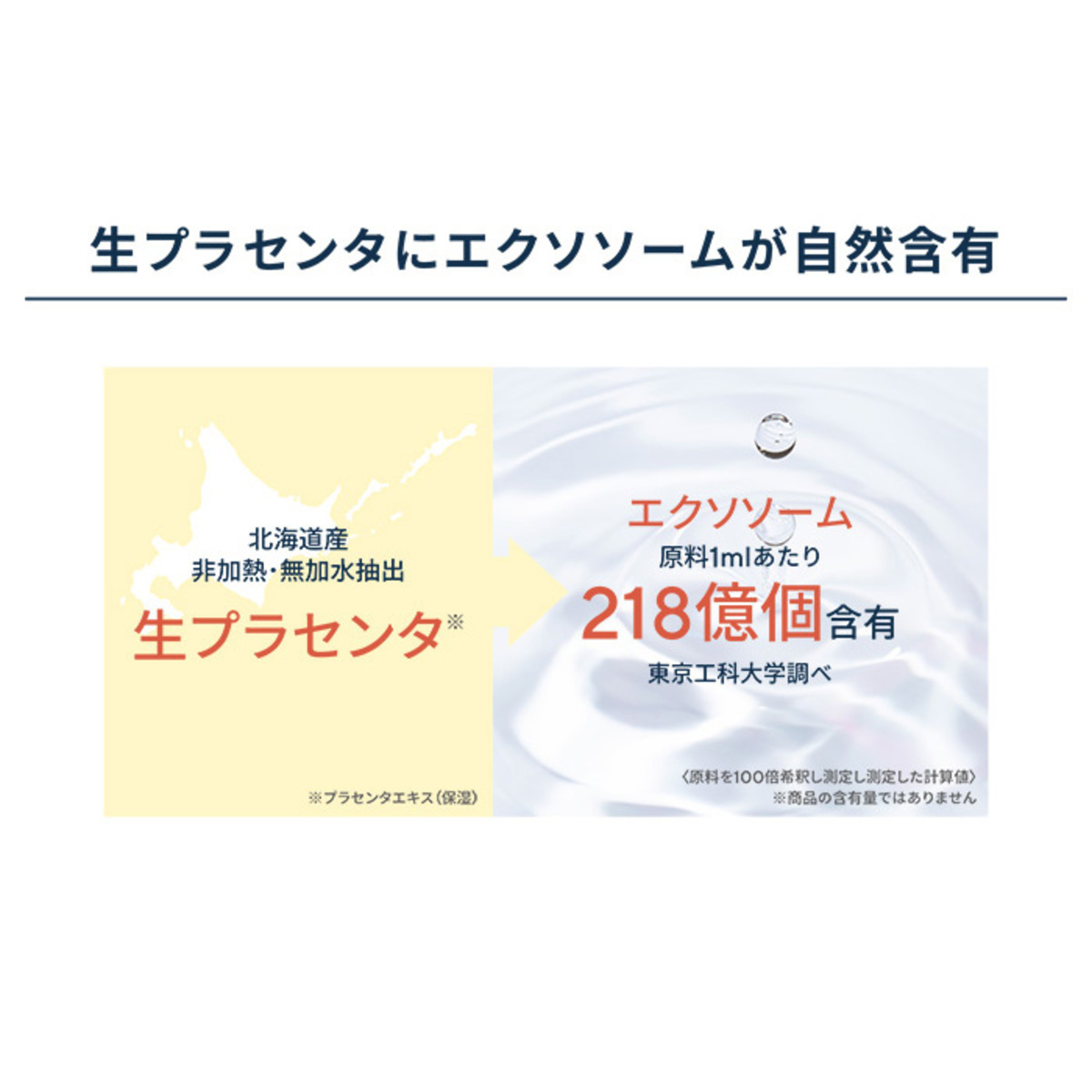MA・SHIROエクストラリッチフェイストリートメント2本セット+100g