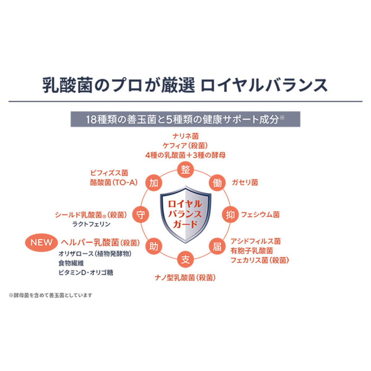 乳酸菌＋酵母 ProMIXプレミアムノアEnrich 120本 - QVC.jp