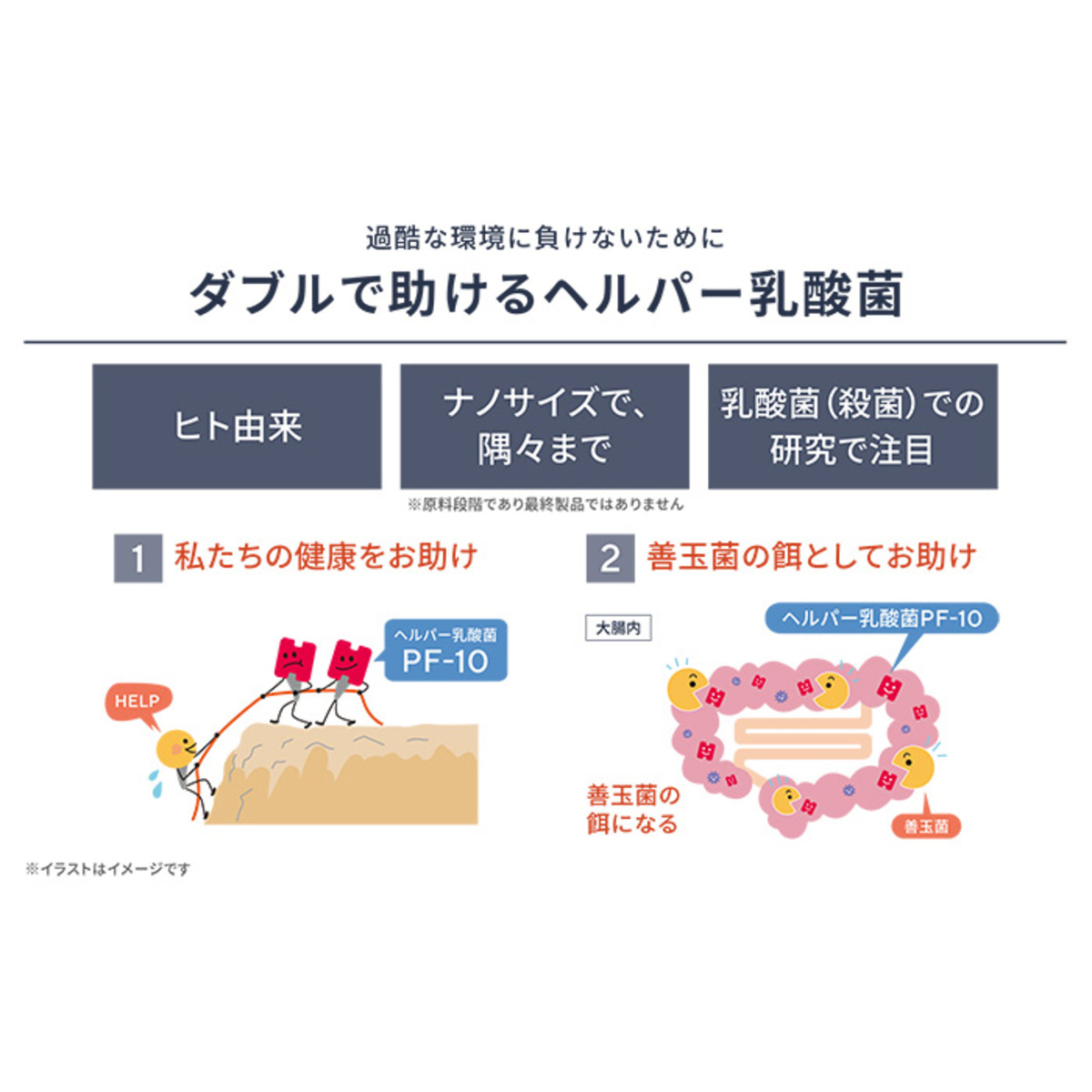 乳酸菌＋酵母 ProMIXプレミアムノアEnrich 120本 - QVC.jp