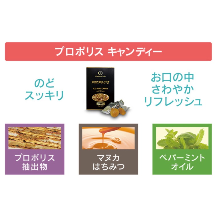 プロポリス360粒 キャンディ粒大感謝祭特別セットプロポリス Propolis No 6300 通販 Qvcジャパン