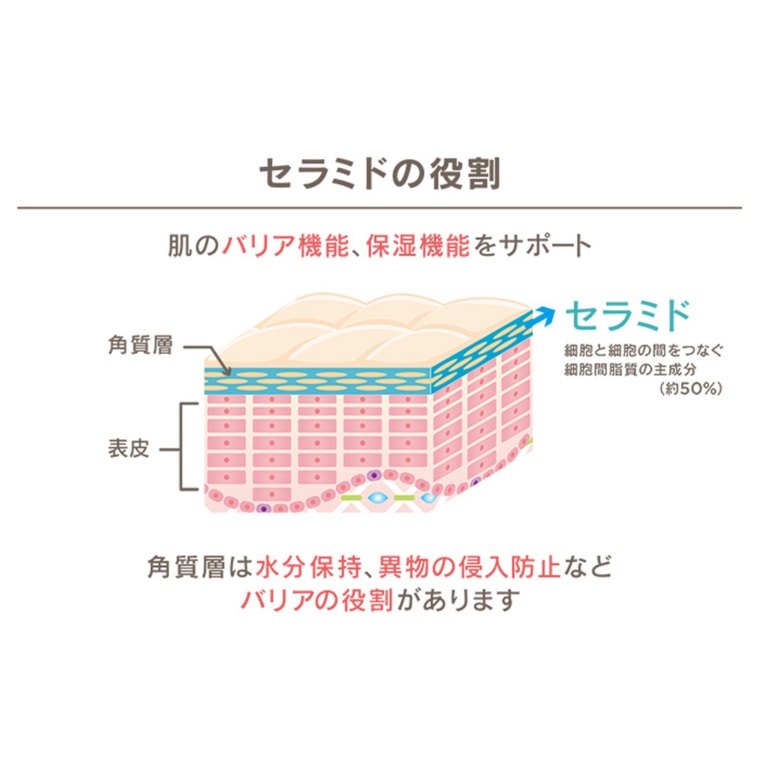 お肌の潤いサプリ2箱セット 60日分 No 通販 Qvcジャパン