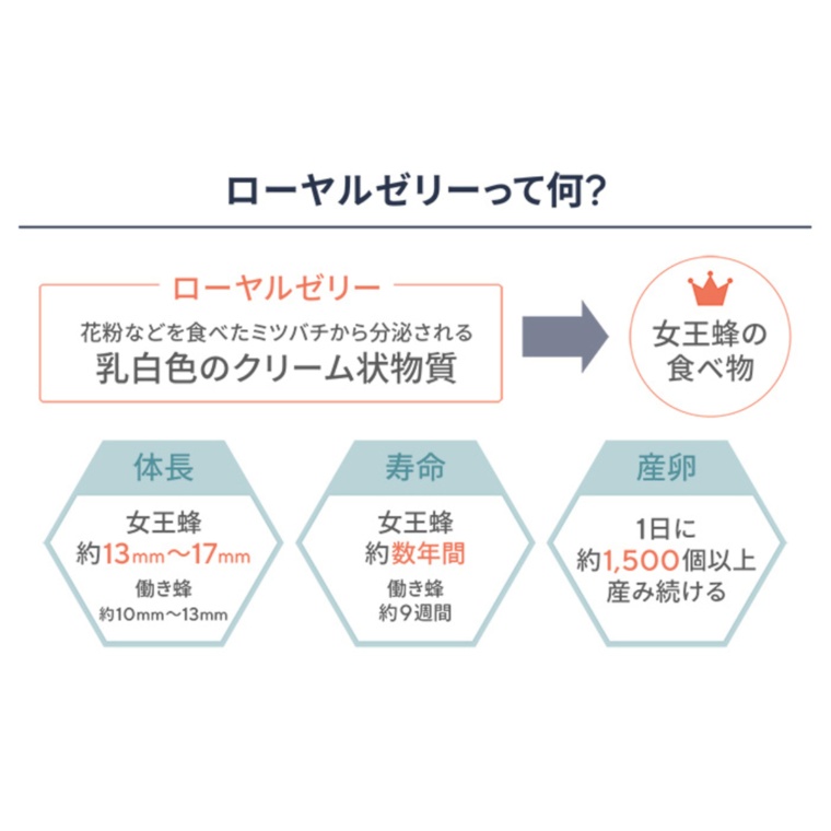 チャルマーズデール プロポリスクイーン 330粒 110日分 プロポリス Propolis No 6737 通販 Qvcジャパン