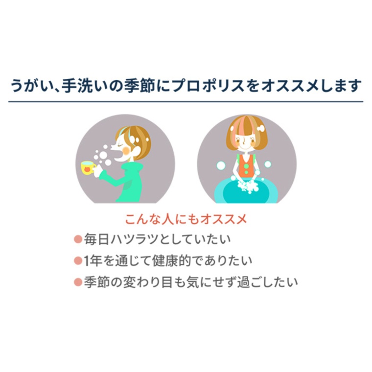 チャルマーズデール プロポリスクイーン 330粒 110日分 プロポリス Propolis No 6737 通販 Qvcジャパン