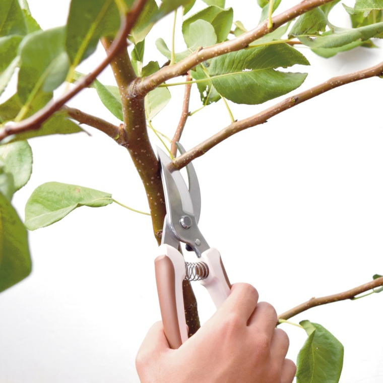 本刃付ステンレス剪定ハサミ 200mm